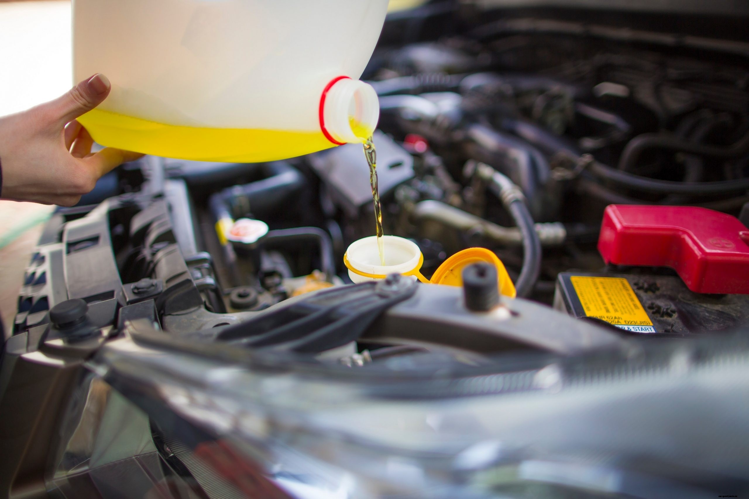 Carcility Car Service Offer in Dubai