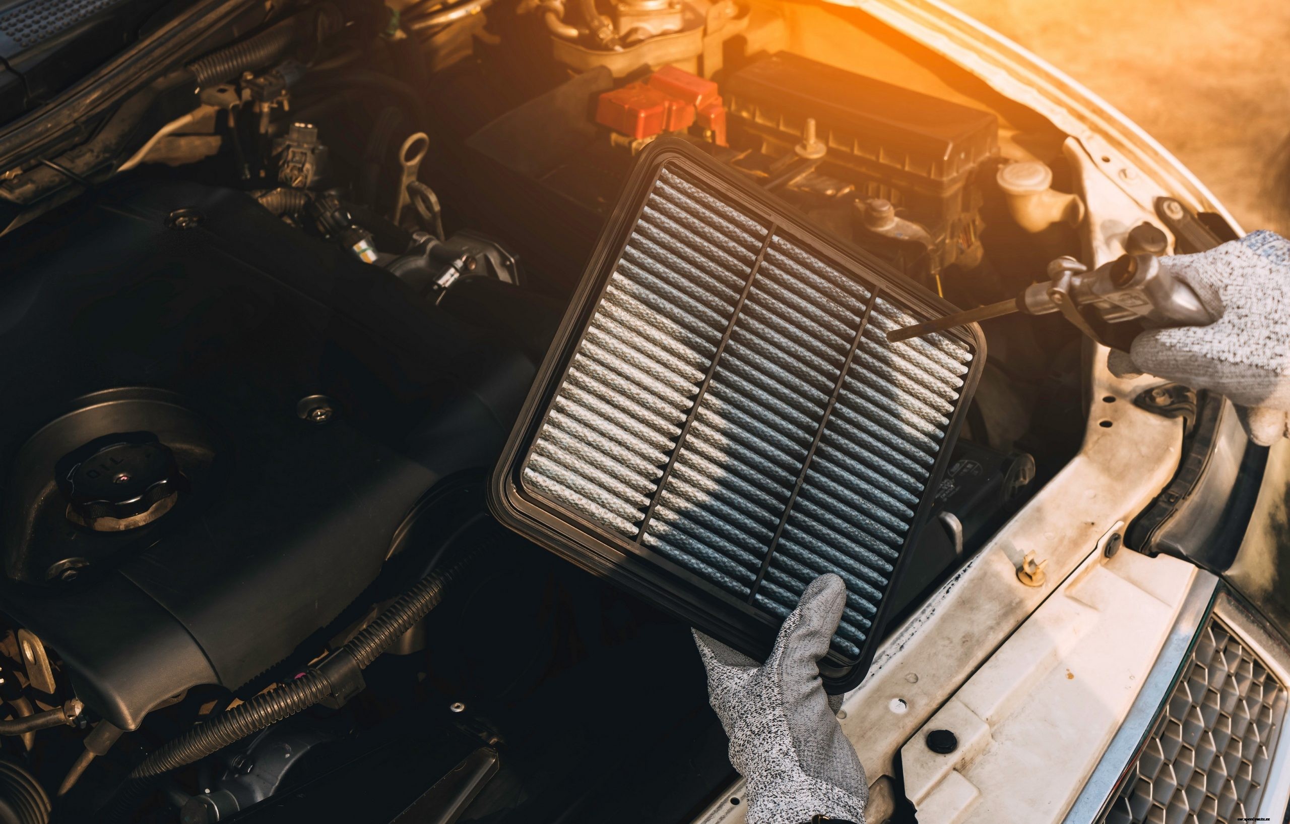 Carcility Car Service Offer in Dubai