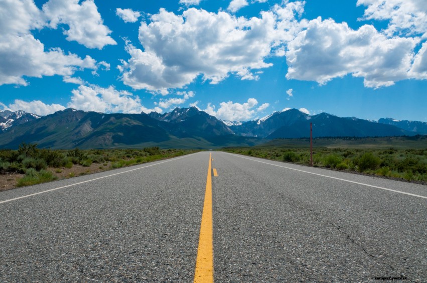 Planning for a Safe and Fun Summer Road Trip