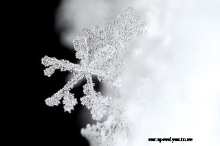 Why You Need Your Car's AC in Winter