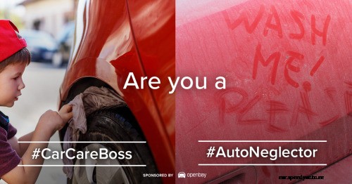 Poll: Are You a Car-Care Boss, or an Auto Neglector?