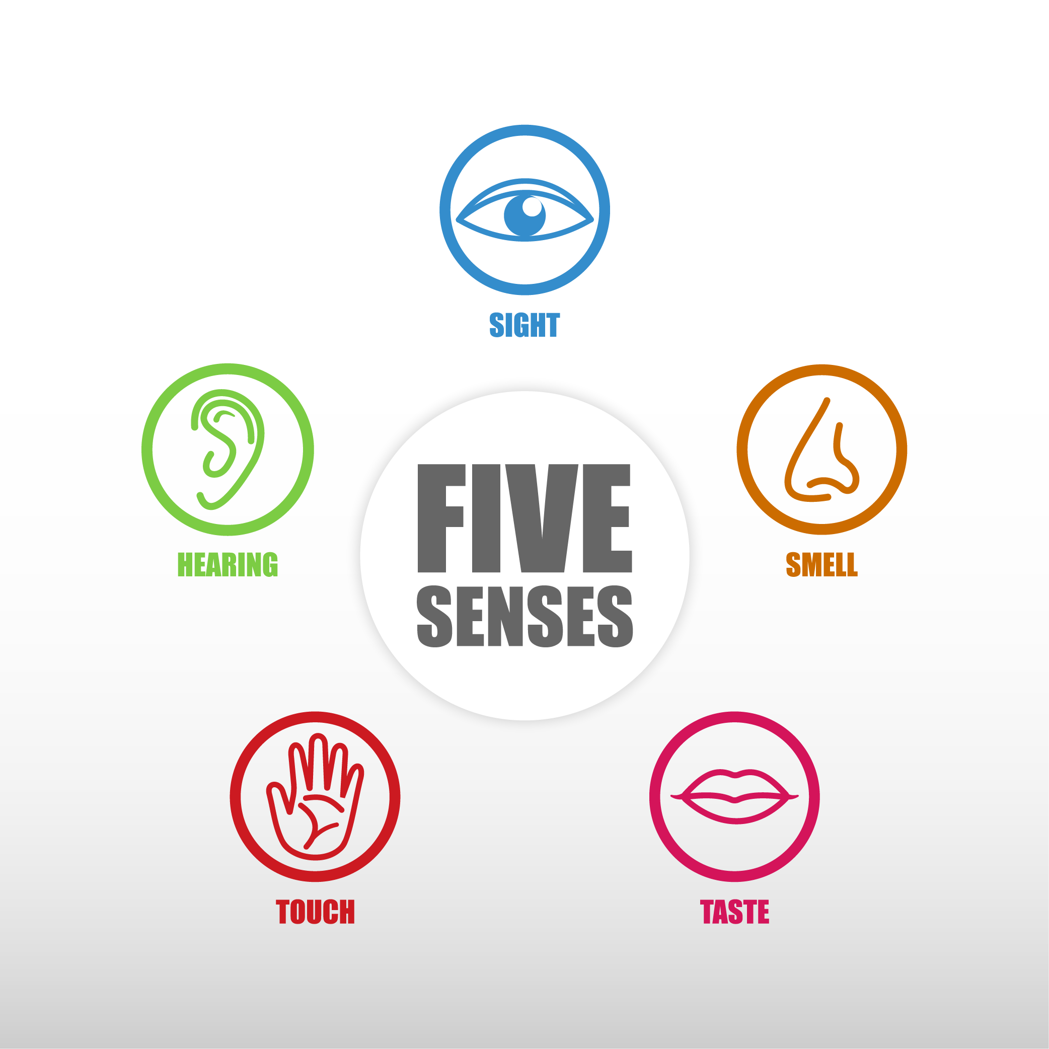 Diagnosing Your Car Problems Using Your Five Senses