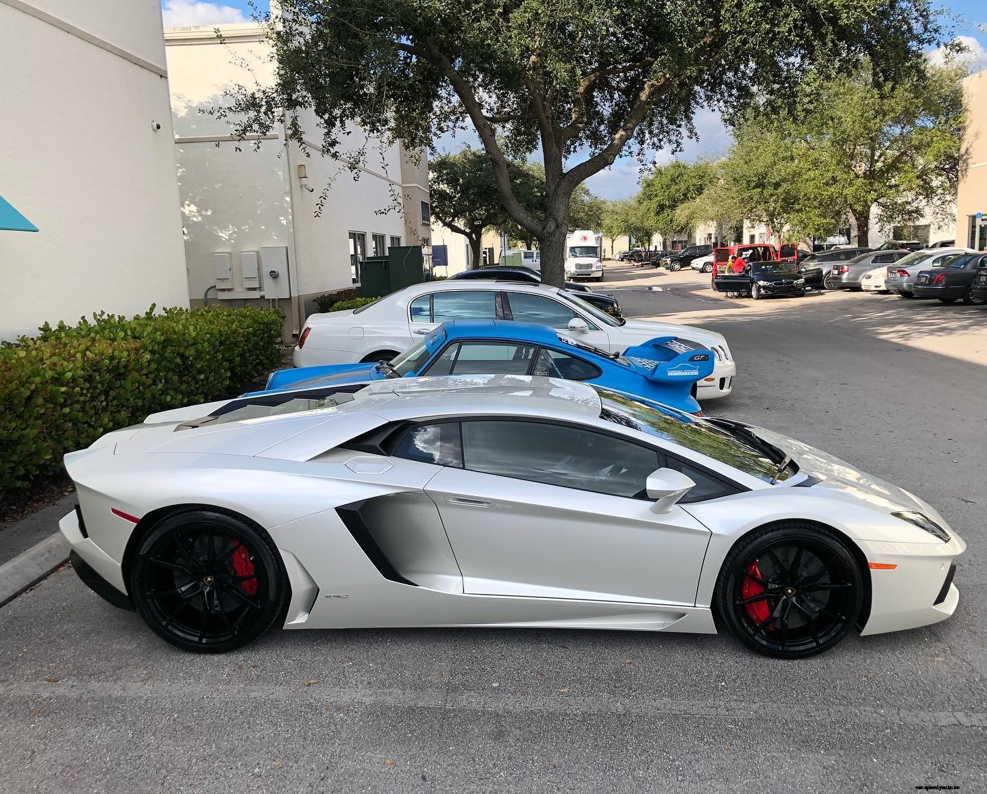 Hot Or Not? Which Luxury Car Would You Drive?