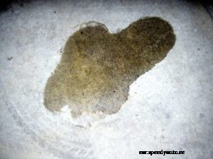 Engine Damage – Look For Gradual Deterioration, Before It’s Too Late