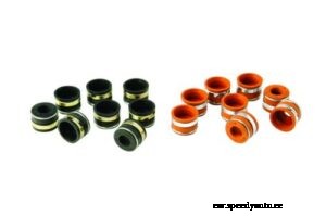 Valve Stem Seals – Failure Symptoms Under Different Conditions