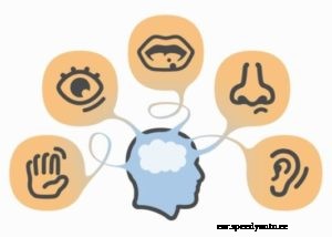 Auto Repair Basics – If You Drive A Car, You Should Learn Basic Repairs