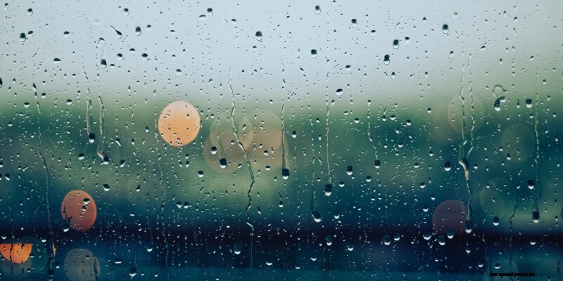 How to Handle Cracks and Chips on Your Windshield