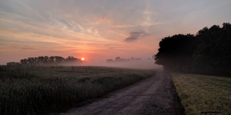 How to Handle Cracks and Chips on Your Windshield