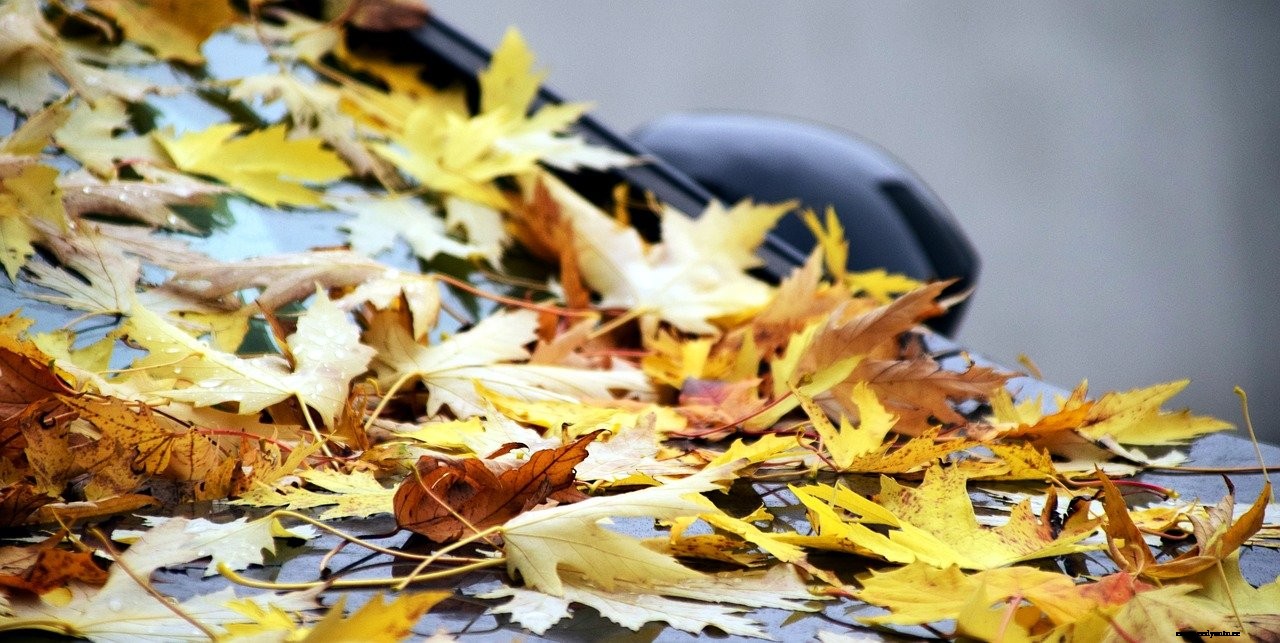 Autumn Tune-Ups to Prepare Your Car for Winter