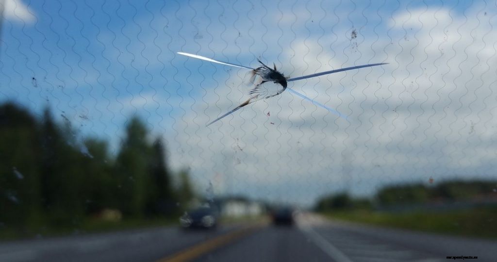 What Happens If a Rock Hits Your Car?