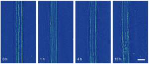 Battery Breakthrough Gives Boost to Electric Flight & Long-Range Electric Cars