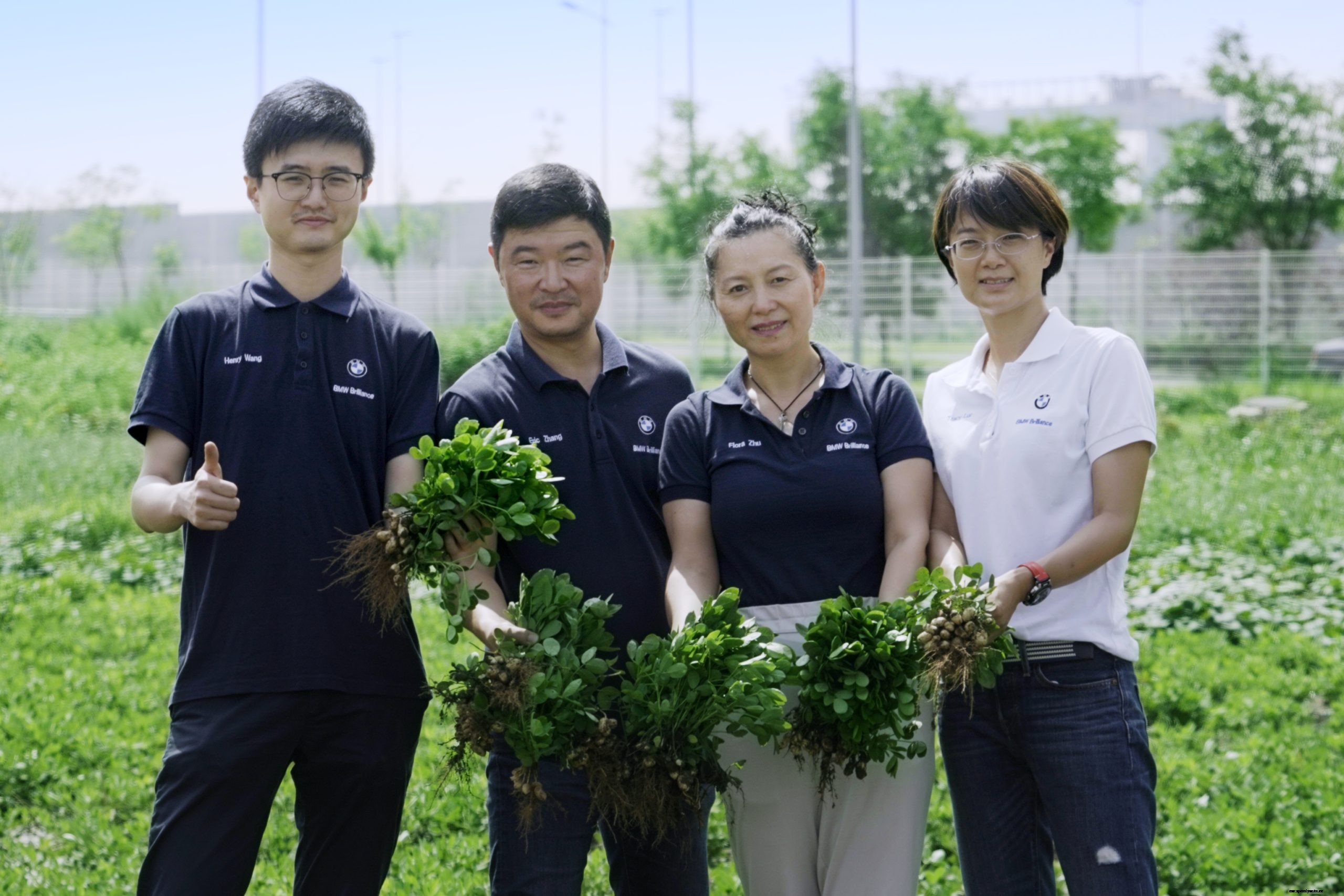 Between High-Voltage Batteries & Electric cars: BMW Brilliance Automotive Grows Peanuts in China