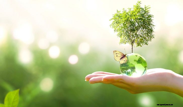 Importance of Electric Vehicles in India