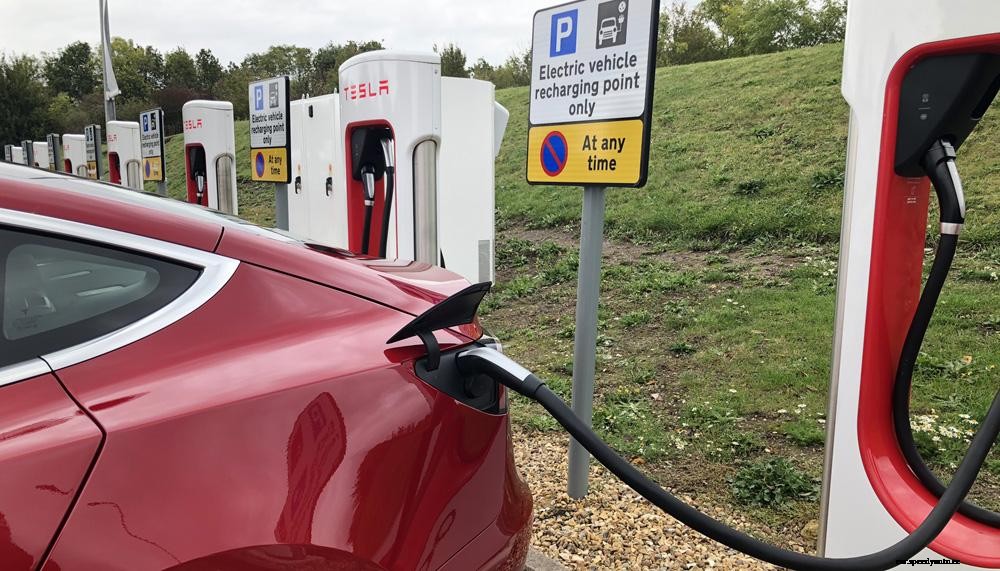 Zap-Map preview: Our vision for 2020