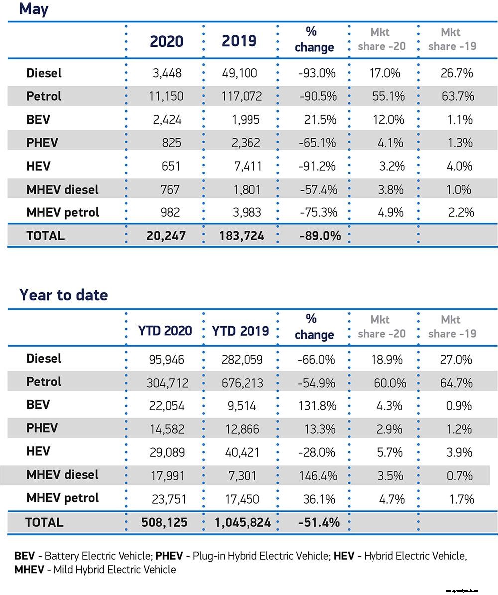 New EV sales grow in May as rest of market falls