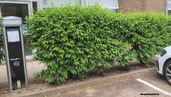 Wilmott Dixon to install workplace charging across all its sites