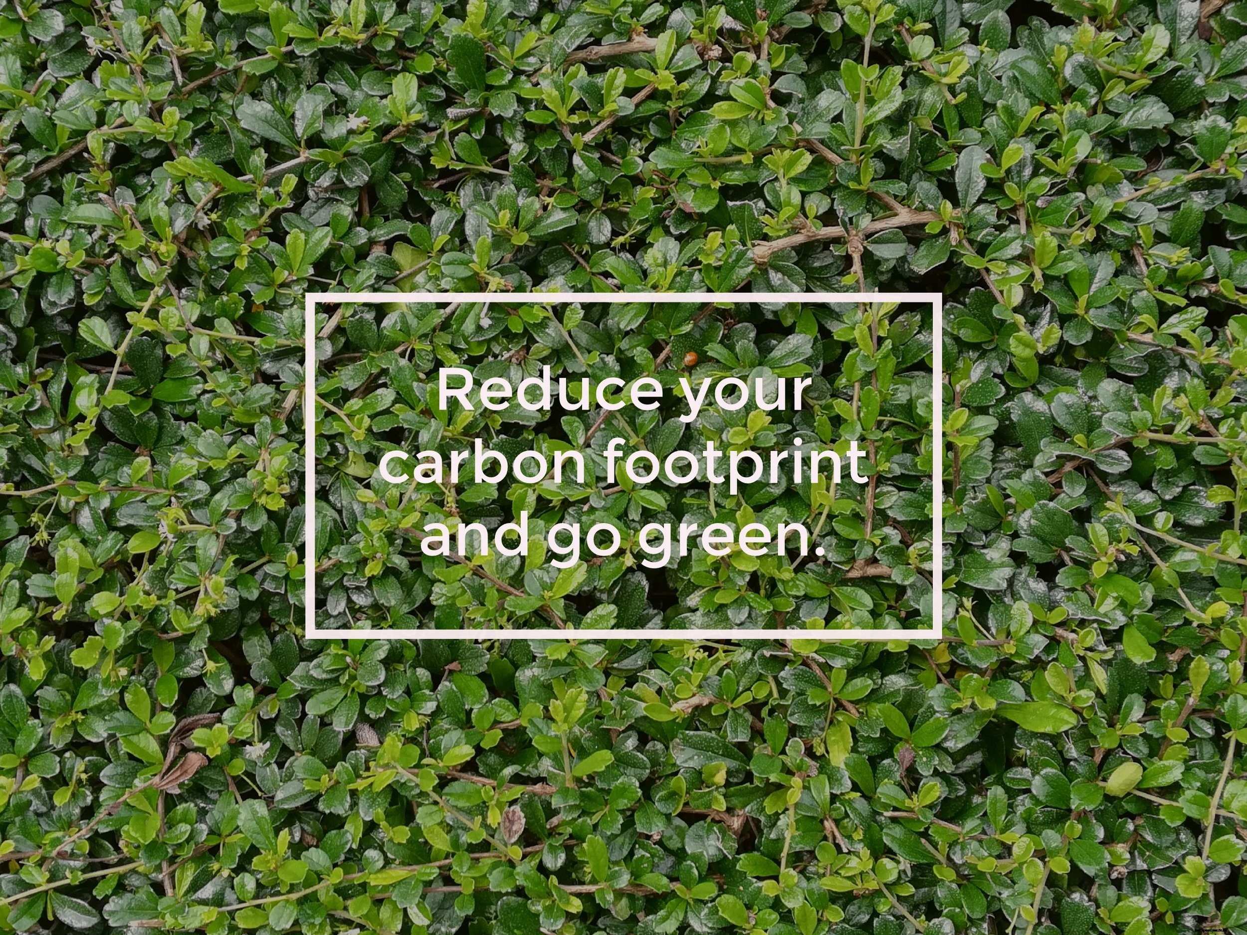 How To Reduce Your Carbon Footprint — And Why It’s Smart Business