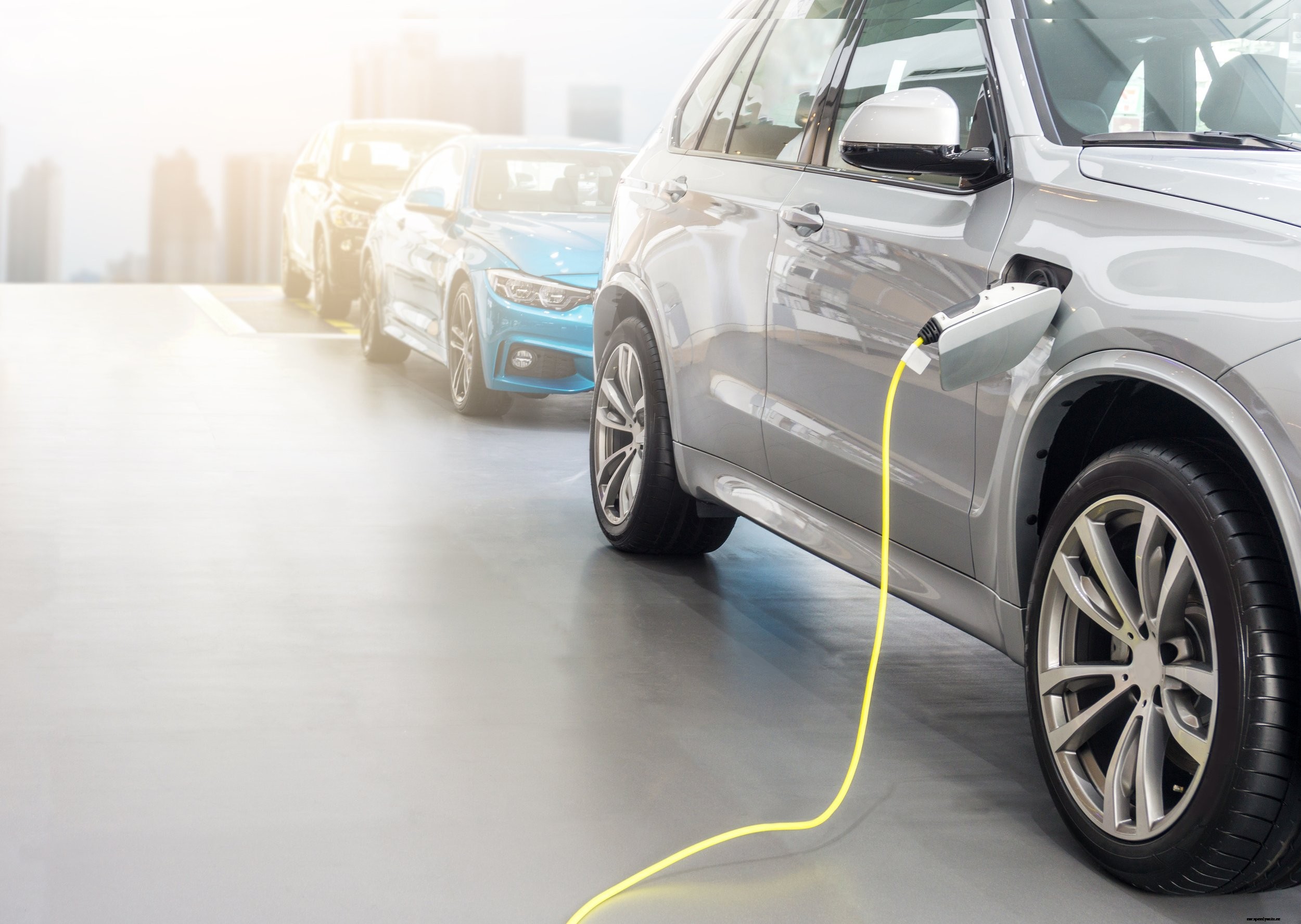 How To Profit From EV Charging by Leveraging White Label Solutions