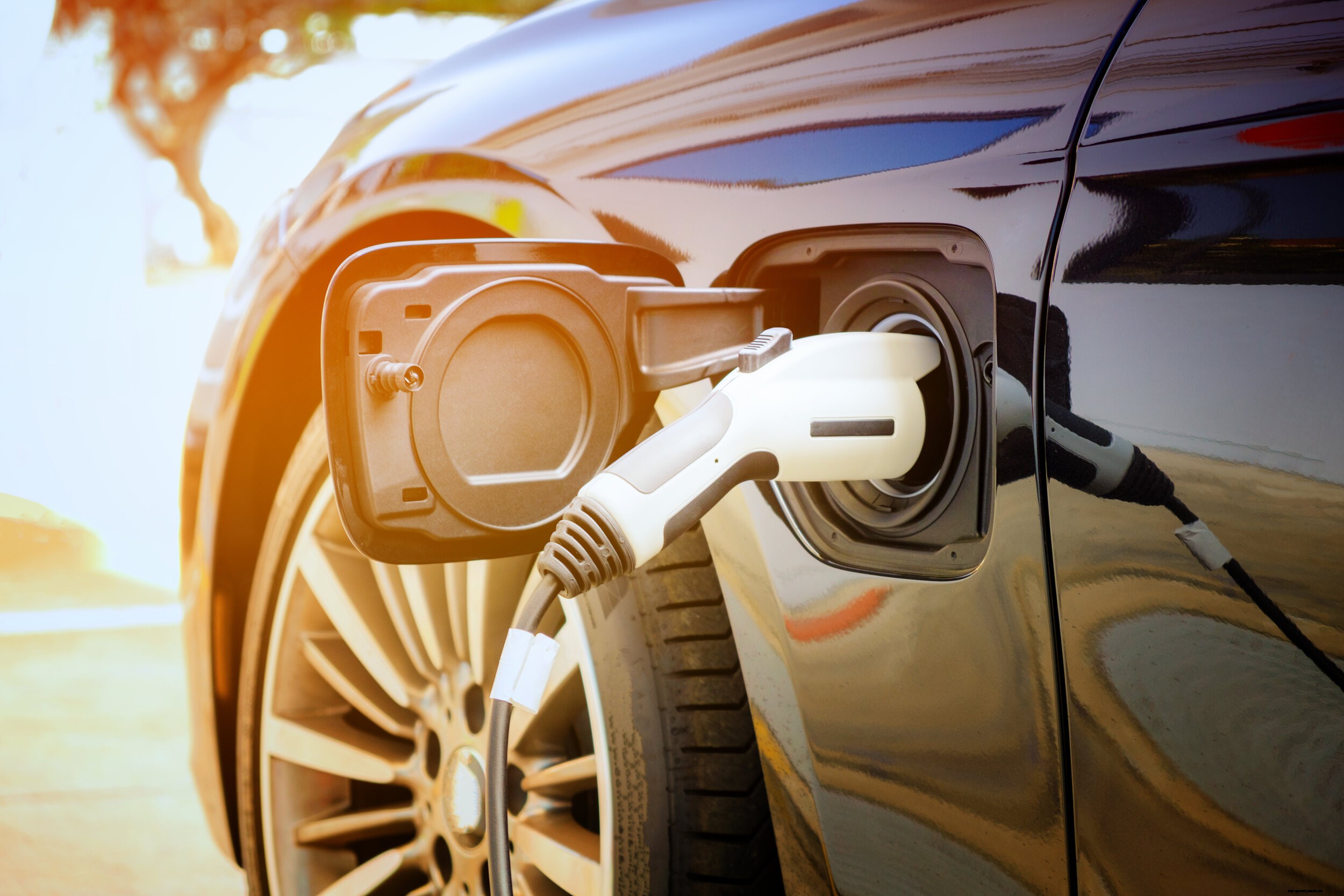 Beyond Tesla: Why Your Business Needs Charging Stations Compatible with All Types of EVs