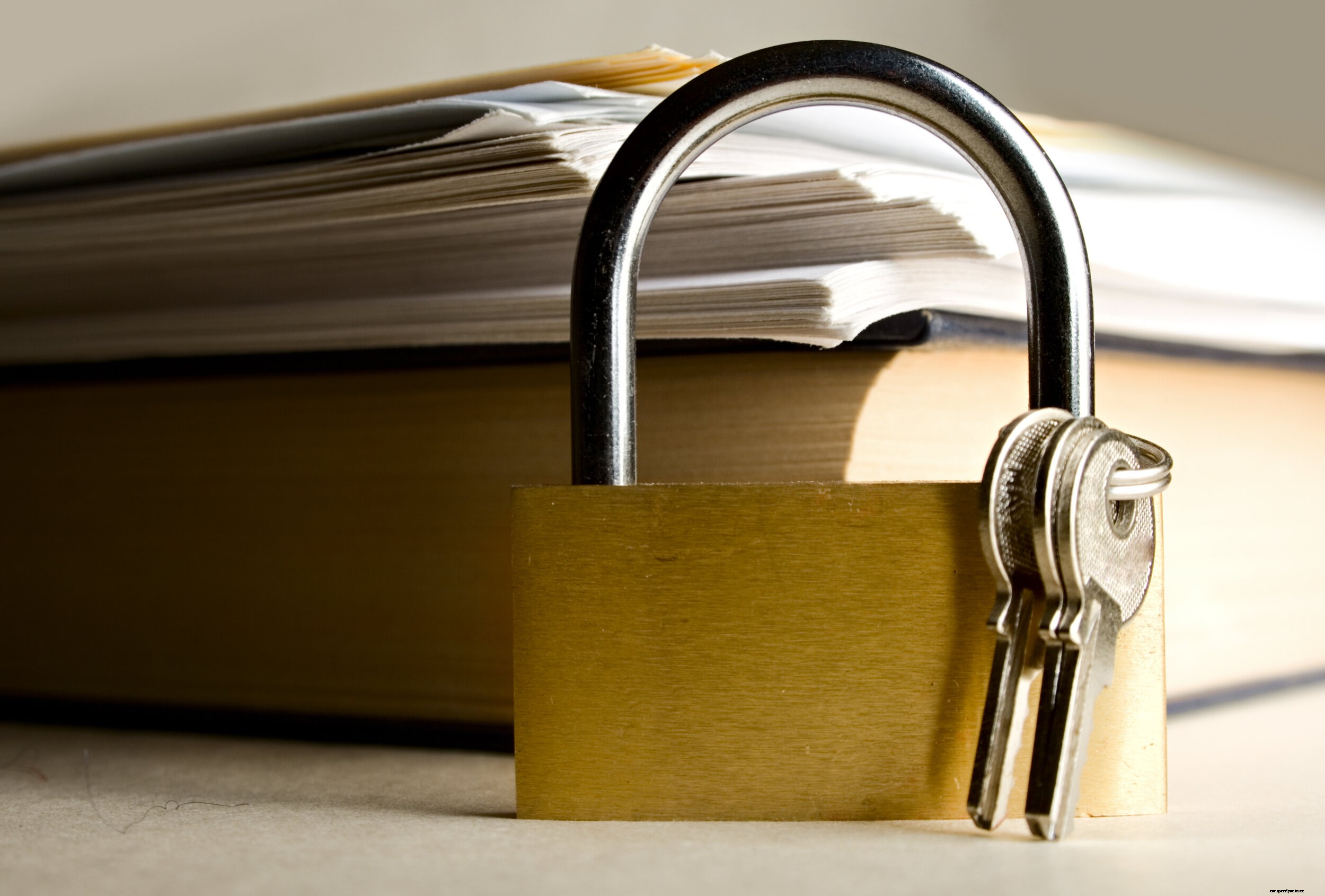 Why Open Standards Matter: Dont Get Locked In Like a Sneaky Timeshare