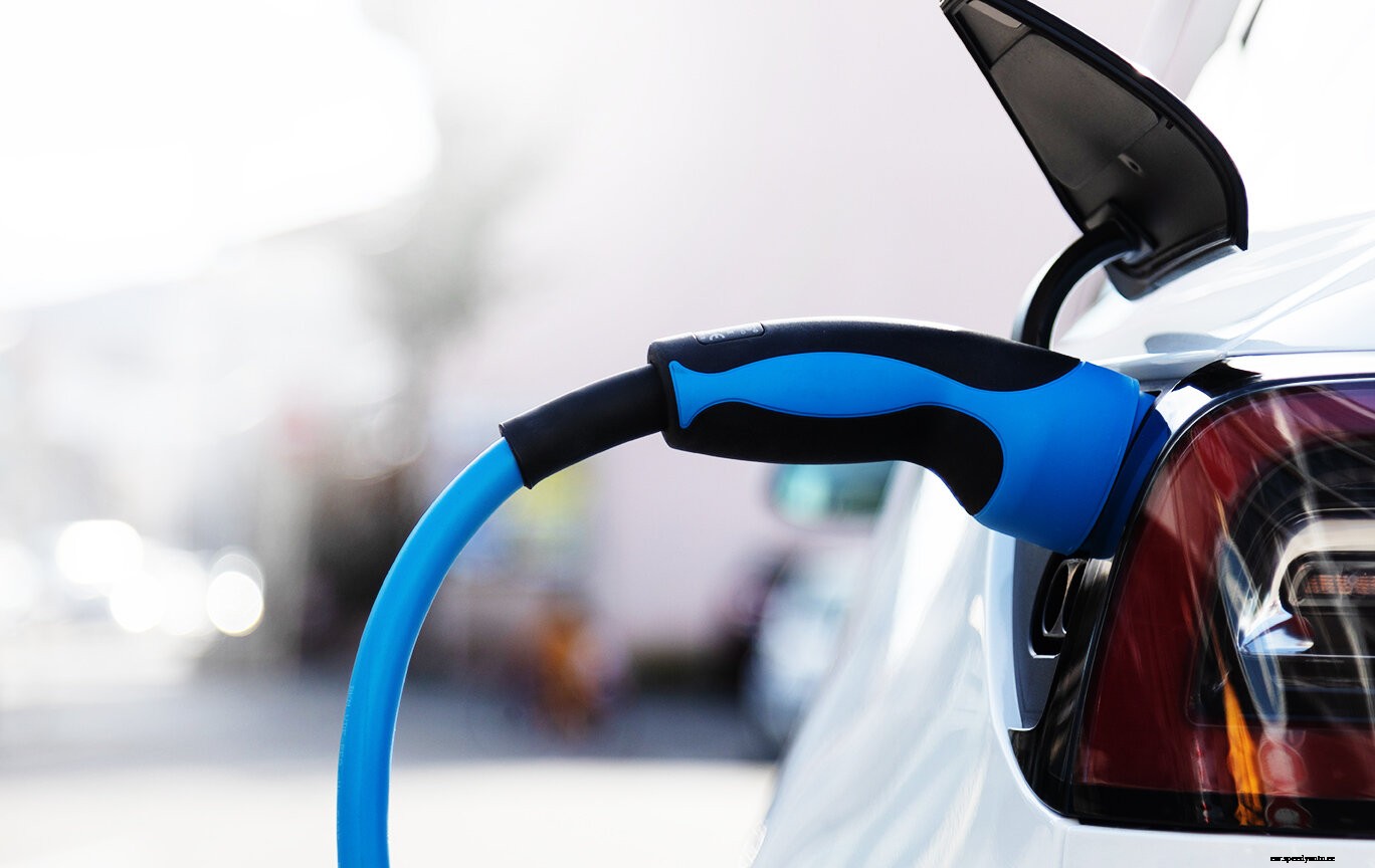 Celebrating 10 Years!