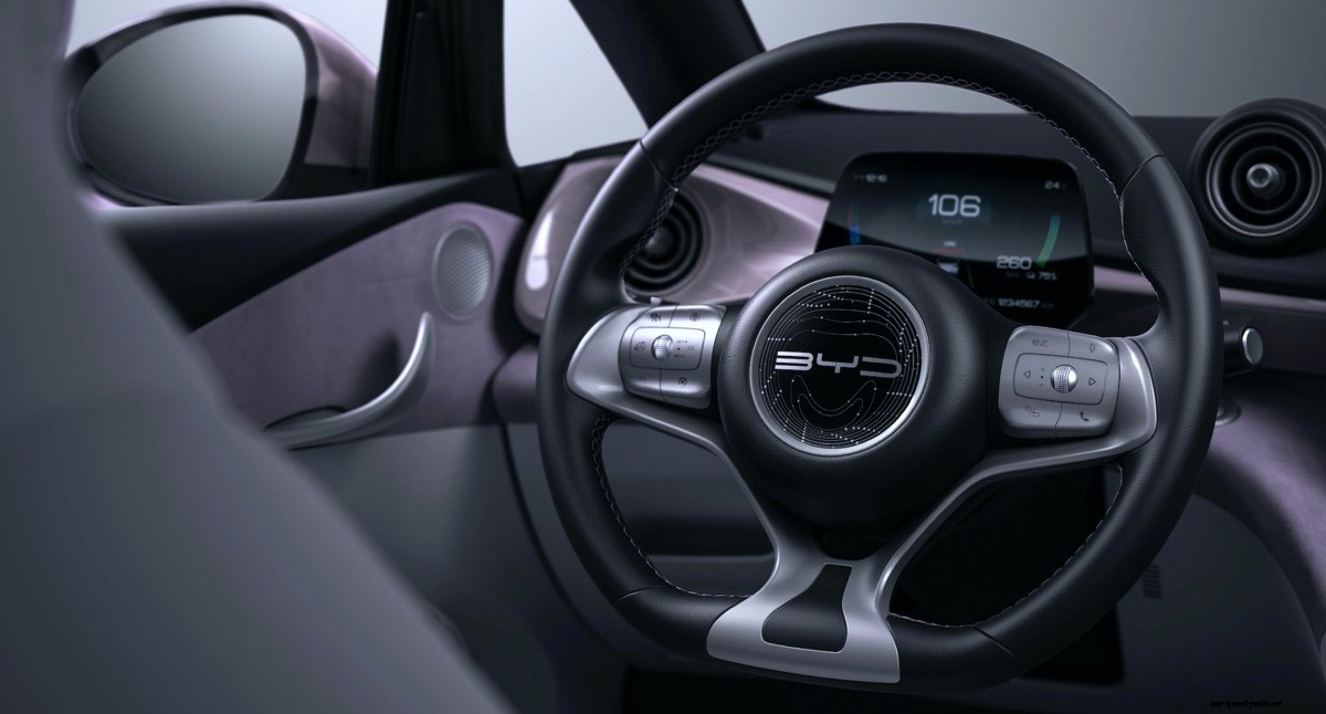 BYD Dolphin (EA1) is great inside and out