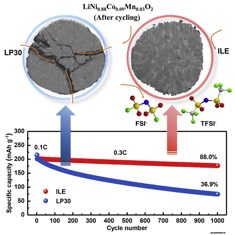 Lithium metal battery improved with new electrolyte