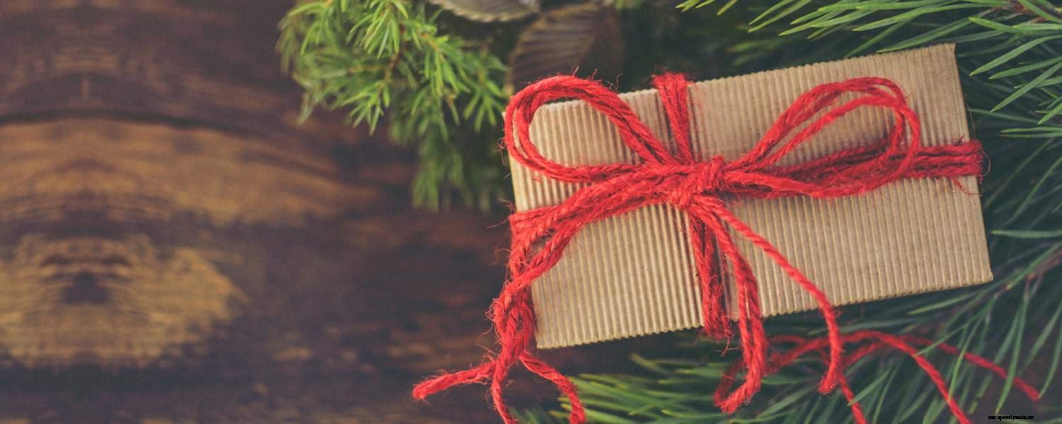 Merry Christmas 2019 from DriveElectric!