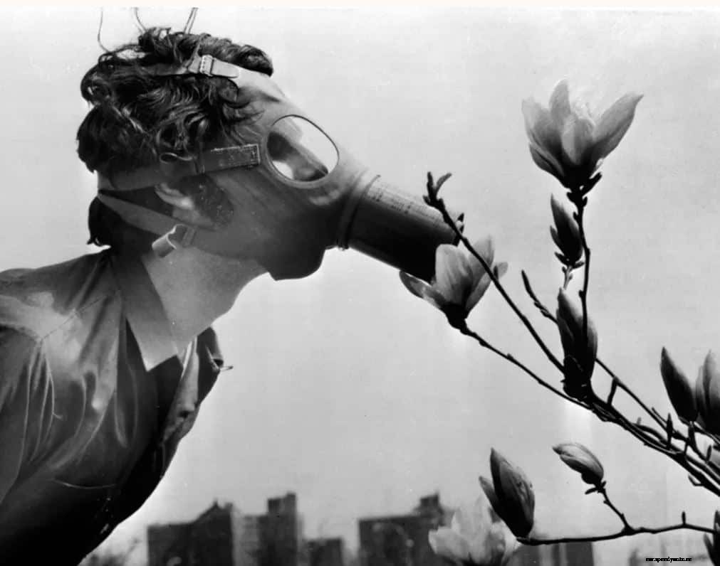 DriveElectric’s News Roundup – April 2020