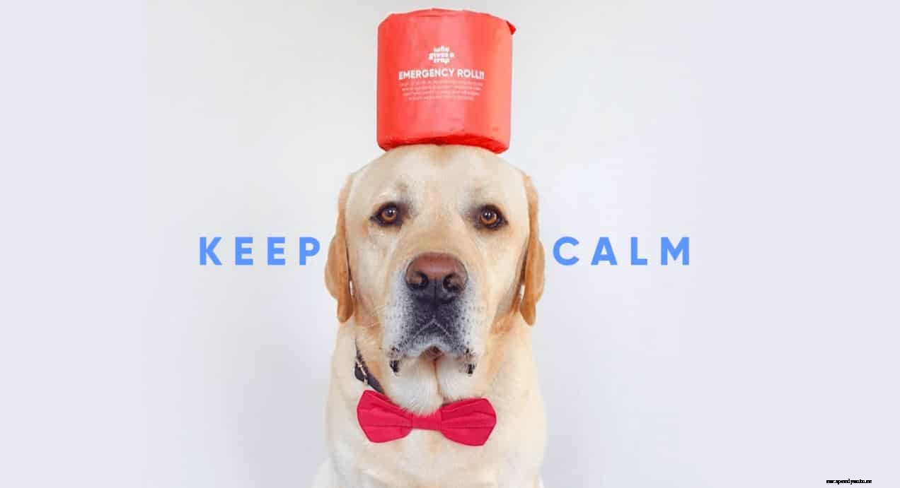 DriveElectric’s News Roundup – March 2020