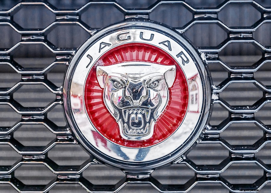 Houston Jaguar Repair Shop Service Center In Houston TX