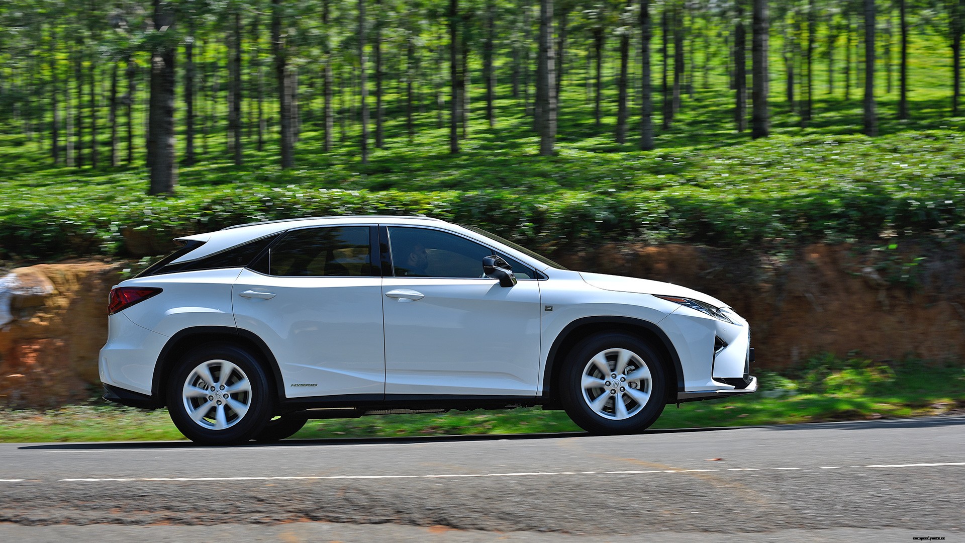 Lexus RX 450h 2017 STD Exterior