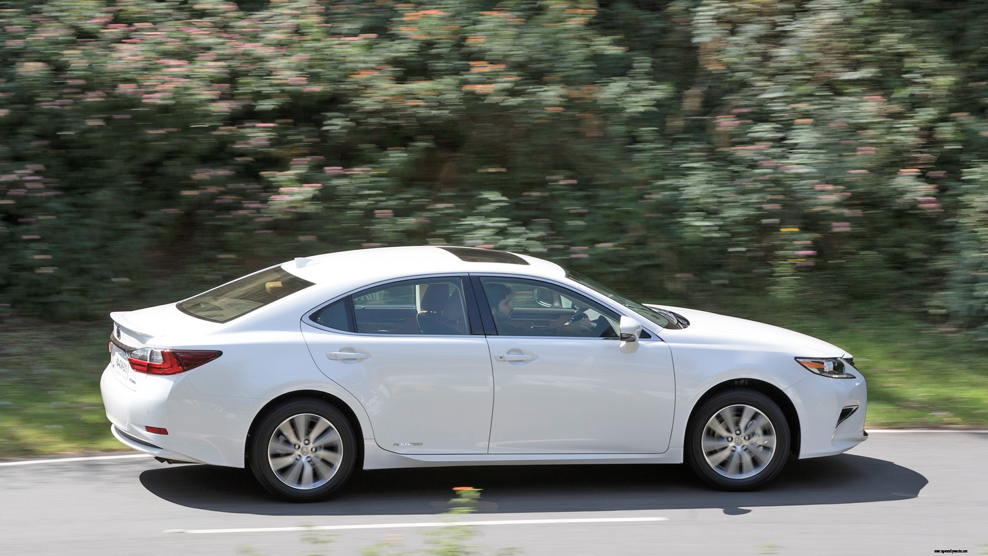 Lexus ES 300h 2017 STD Exterior
