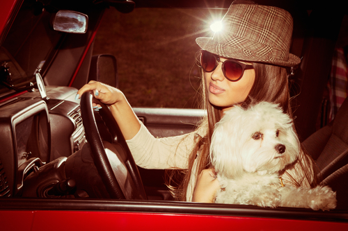 Brake Inspection Tips for the Ladies