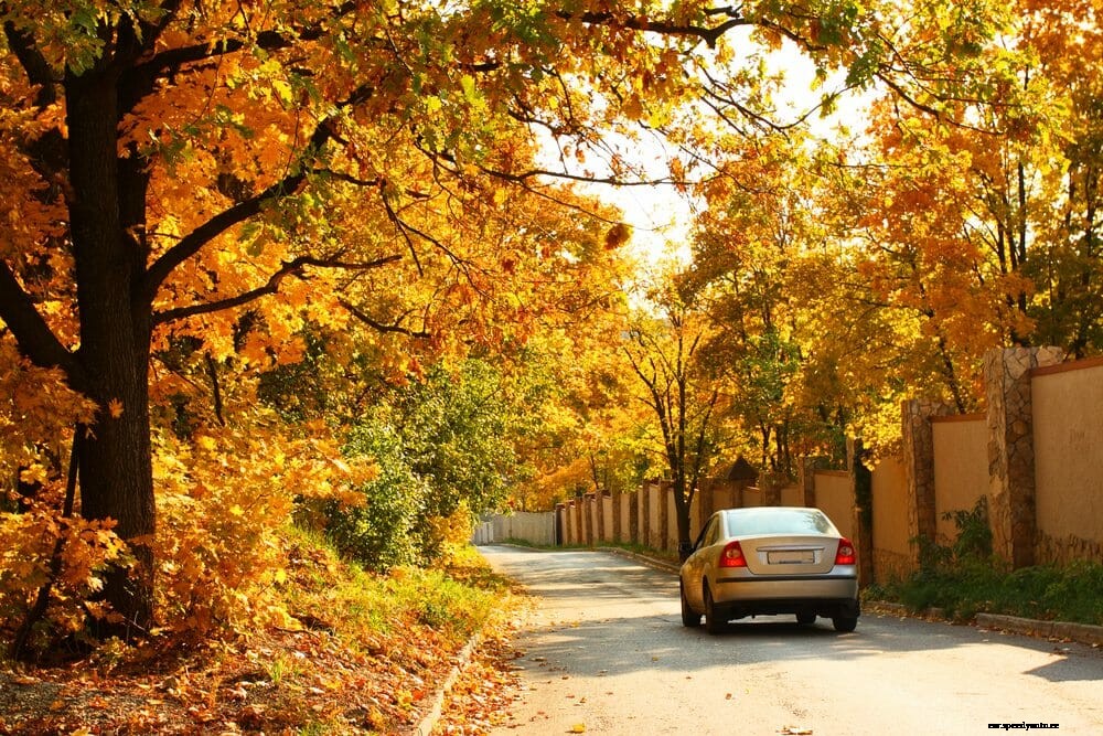 5 Great Tips for Holiday Road Trips