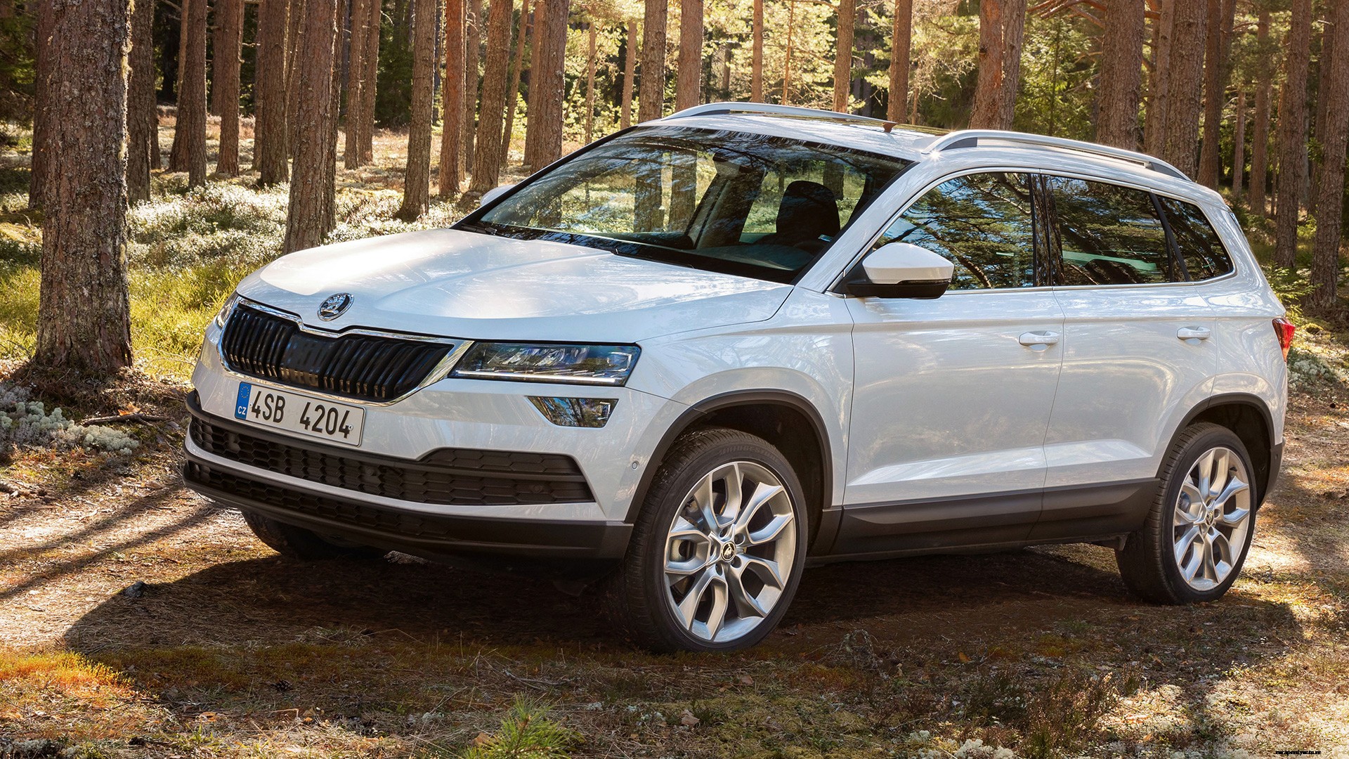 Skoda Karoq 2019 Diesel Std Exterior