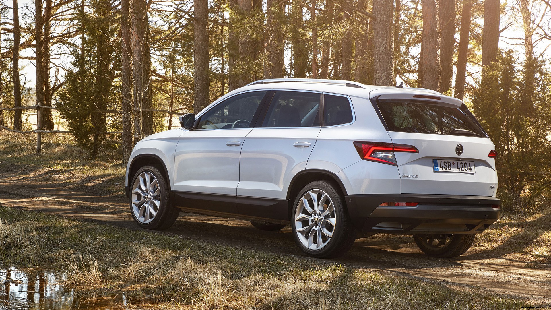 Skoda Karoq 2019 Diesel Std Exterior