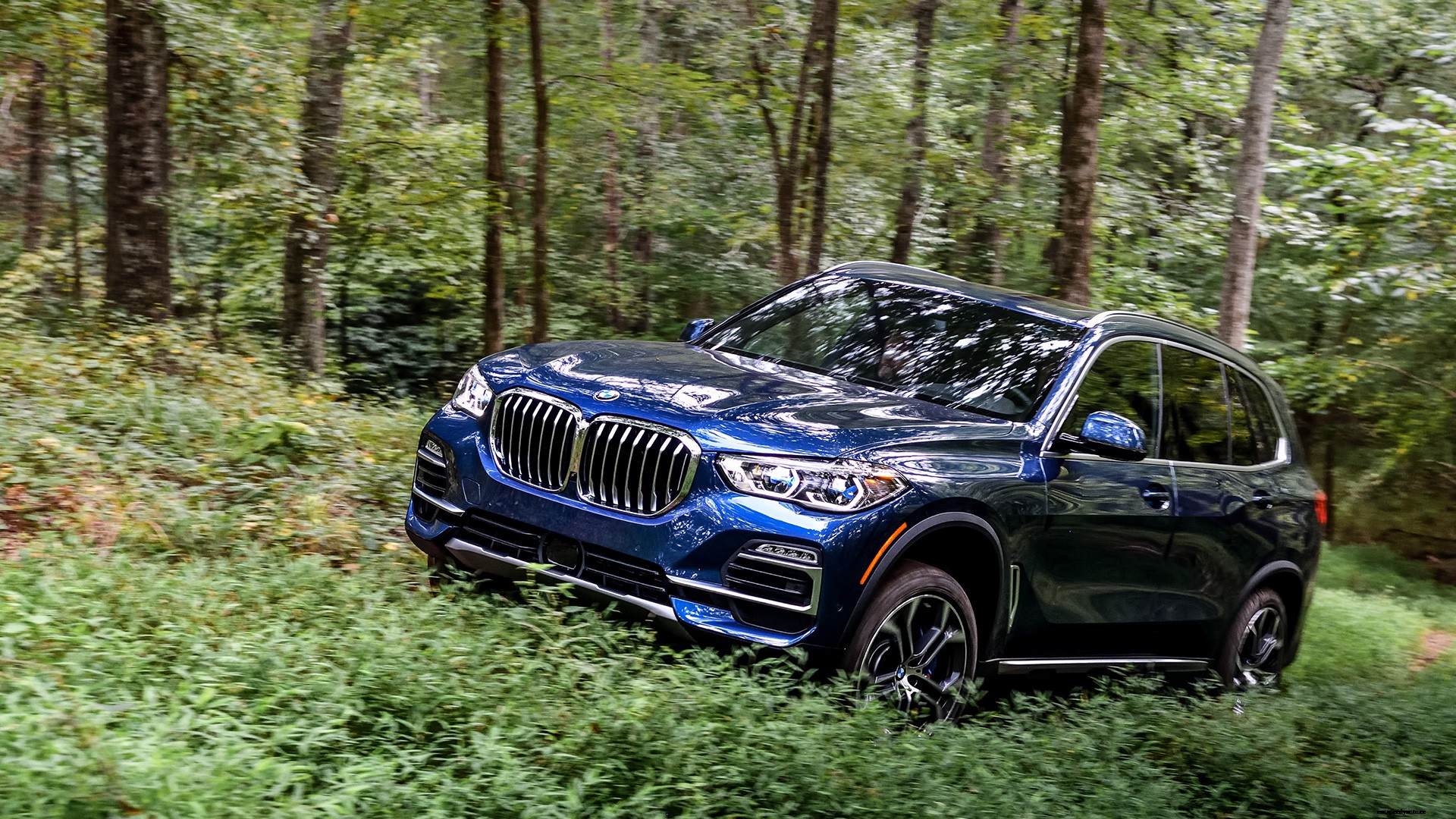 BMW X5 2019 xDrive40i M Sport Exterior