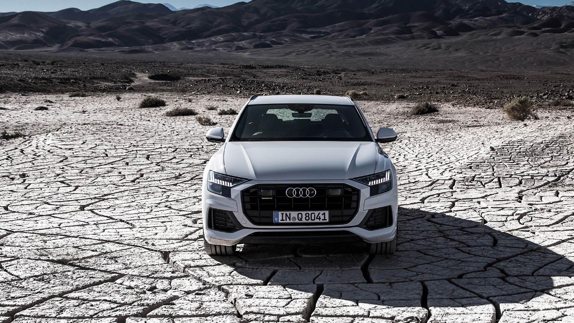 Audi Q8 2019 55 TFSI Exterior