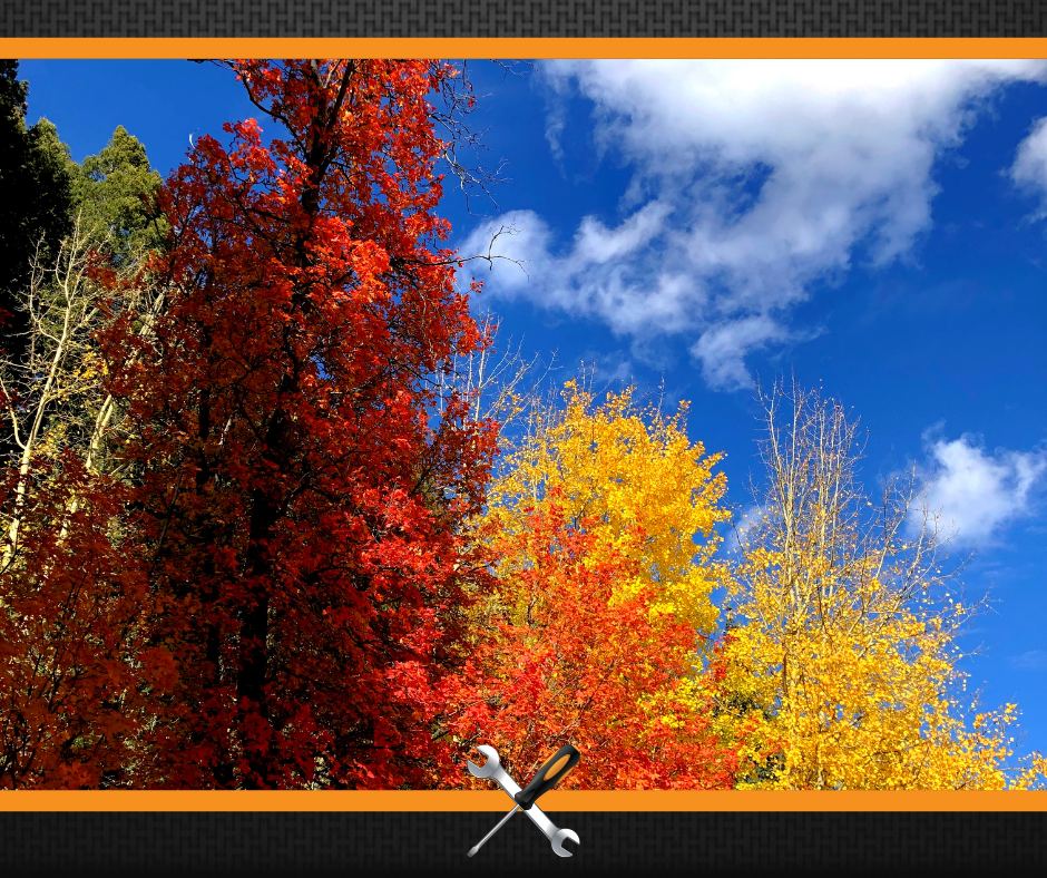 8 Tips for Fall Car Care