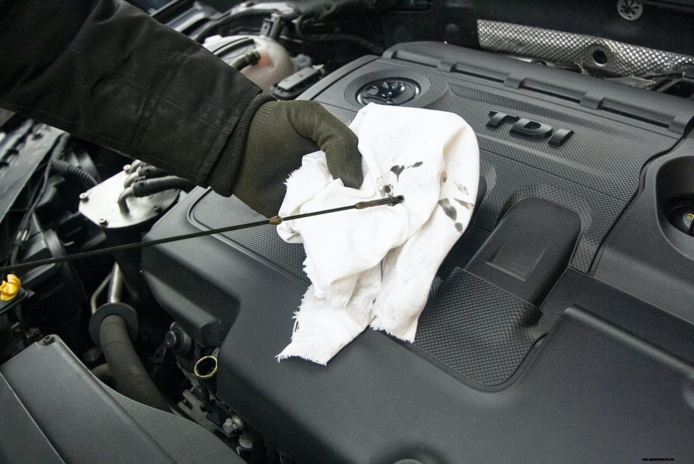 Understanding Car Fluids and How to Maintain Them