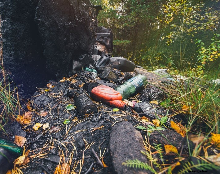 Motor Oil Pollution & What You Can Do To Prevent It