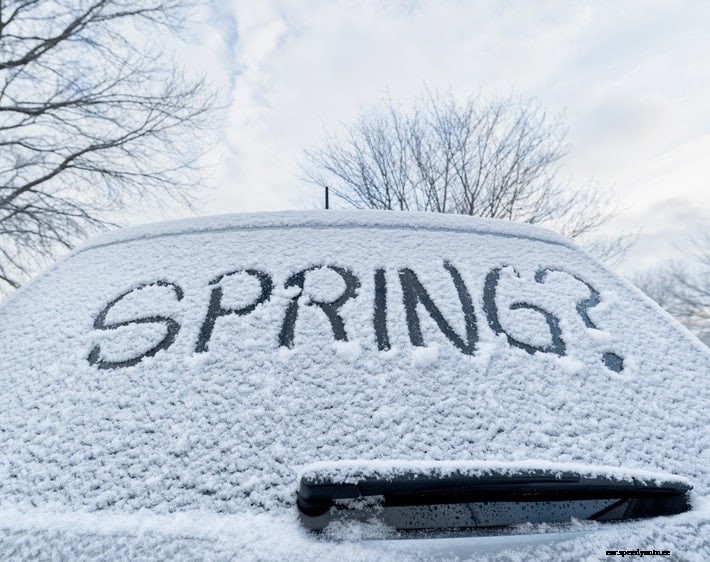 Can I Use Winter Tires All Year?