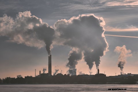 Has the UN Climate Change Conference been a failure for decisive action by car brands?