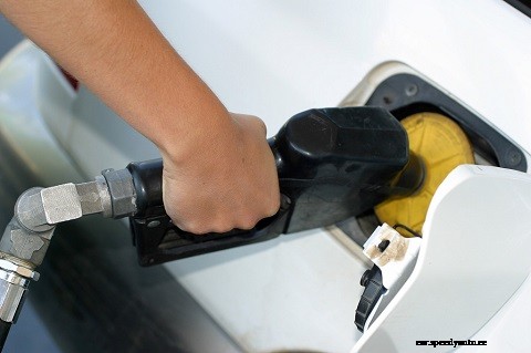 Going green: Good for the environment and your wallet