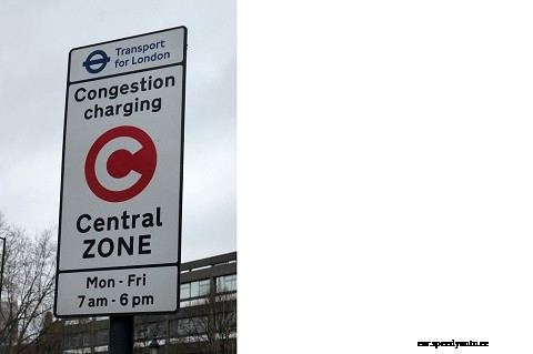 Going green: Good for the environment and your wallet