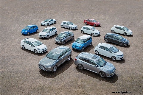 Going green: Good for the environment and your wallet