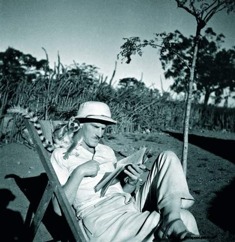 Q&A with Arkady Fiedler