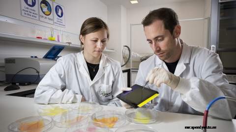 Unlocking the future of EVs