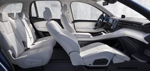 China’s wannabe Tesla